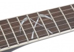 Epiphone Apparition 12th Fret Inlay