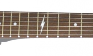Epiphone Guitar Wolf G-310