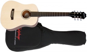 Epiphone Expedition